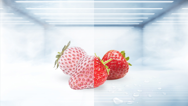 TCL 108L Refrigerator (F141BFS)