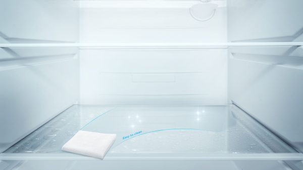 TCL 165L Refrigerator (F216TMS)