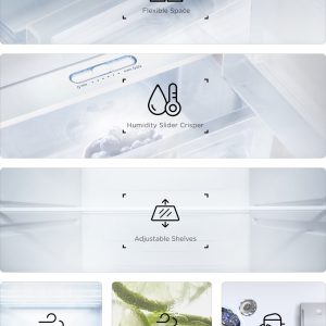 TCL 480L Refrigerator (P624TMN)