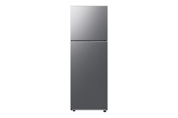 Samsung 301L Refrigerator (RT31CG5421S9GH)