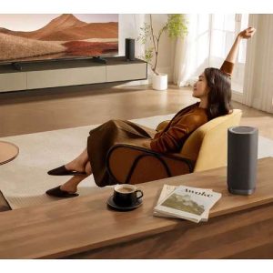 TCL Z100 Wireless Bluetooth Speaker (Metal)