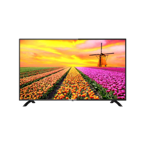 Nasco 24" Television (NASJ24FB)