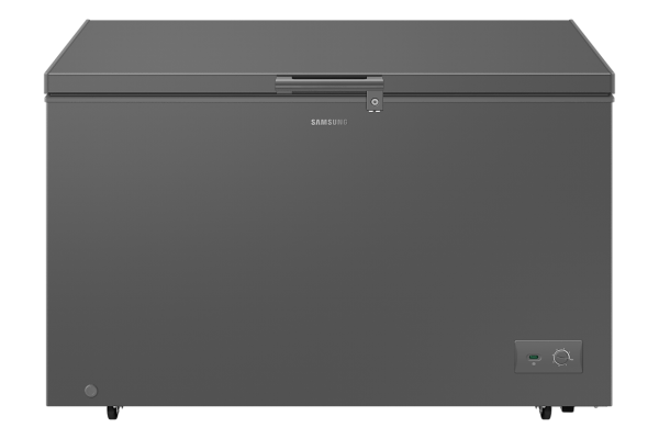 Samsung 287 L Refrigerator Gray (RI70F29V1GAGH)