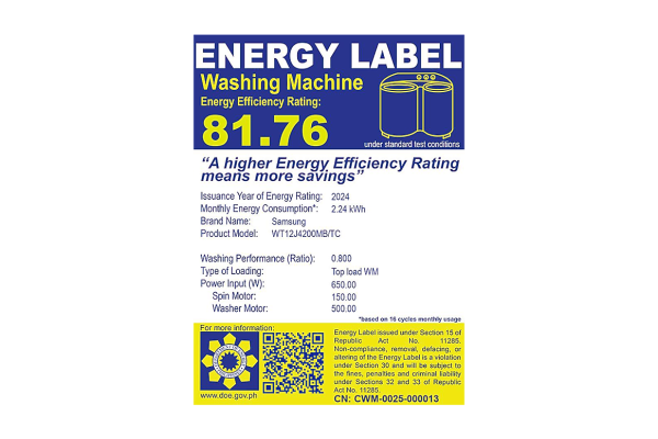 Samsung 12 KG Washing Machine (WT12J4200MR)