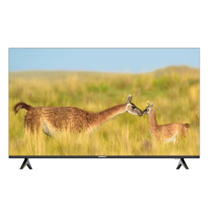 Nasco 50″ Smart TV (NAS-J50FBFL-G)