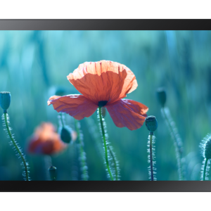 Samsung Professional Display (LH13QBRTBGCXEN)